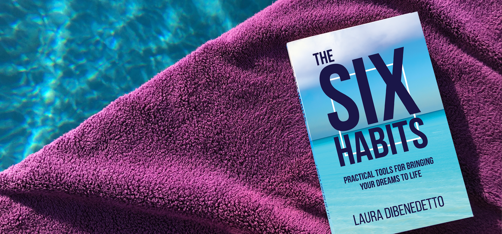 The Six Habits by Laura DiBenedetto